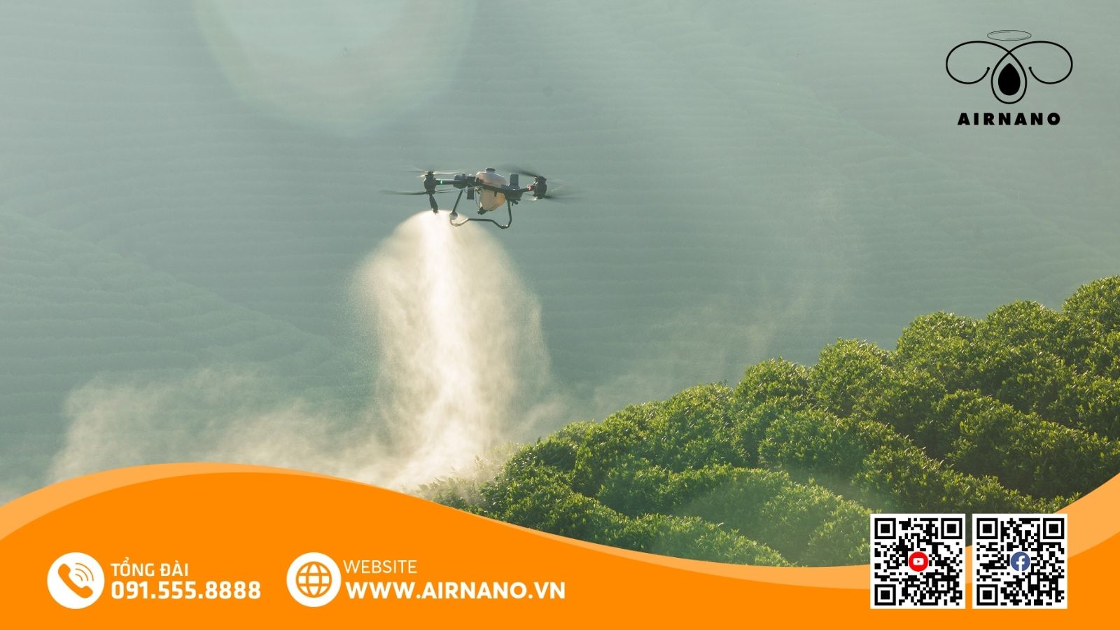 DJI Agras T50_ Lựa chọn tối ưu trong việc phun thuốc cho cây đậu phộng