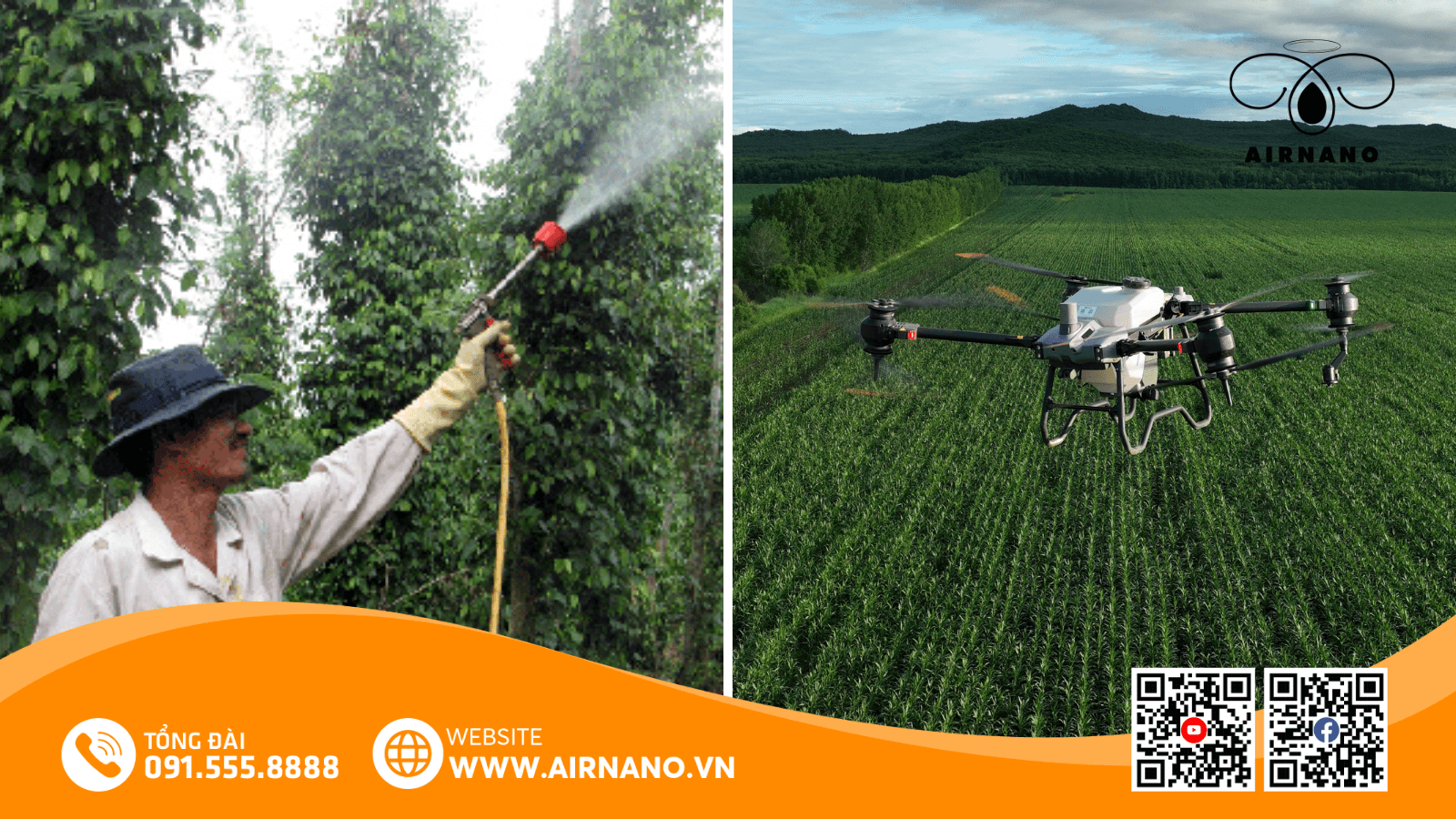 So sánh phương pháp phun truyền thống và Drone phun thuốc cho cây keo