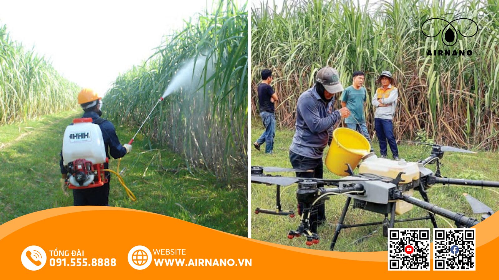 So sánh phương pháp phun truyền thống và Drone phun thuốc cho cây mía