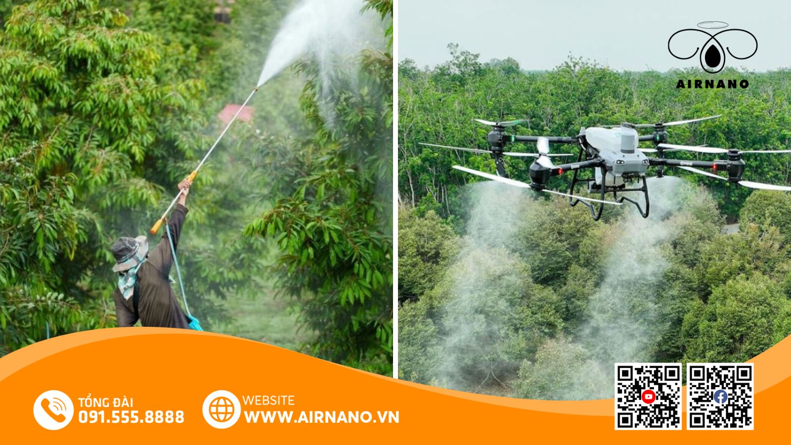 So sánh phương pháp phun truyền thống và máy bay không người lái cho cây chôm chôm