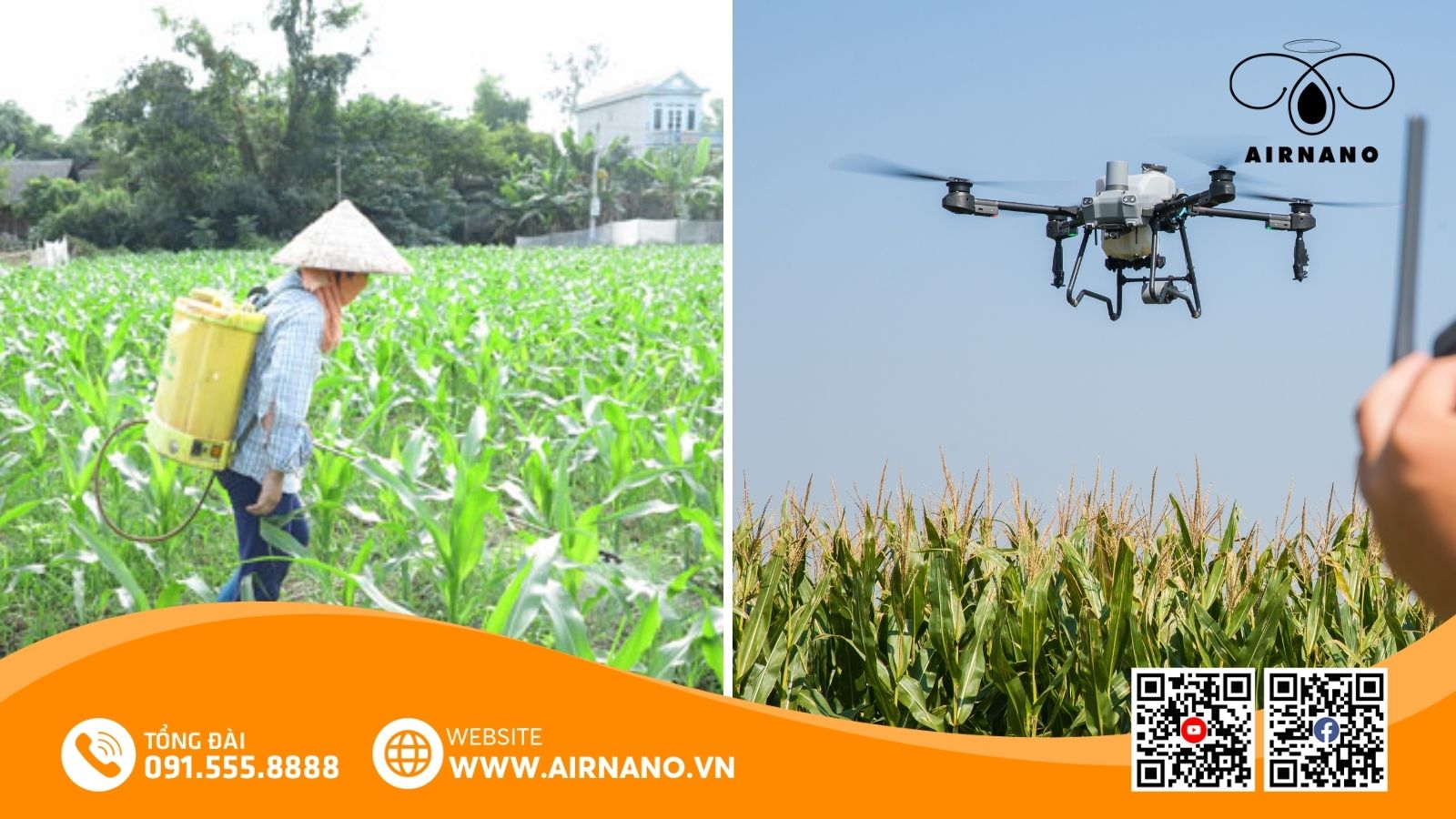 So sánh phương pháp phun truyền thống và máy bay phun thuốc cho cây ngô