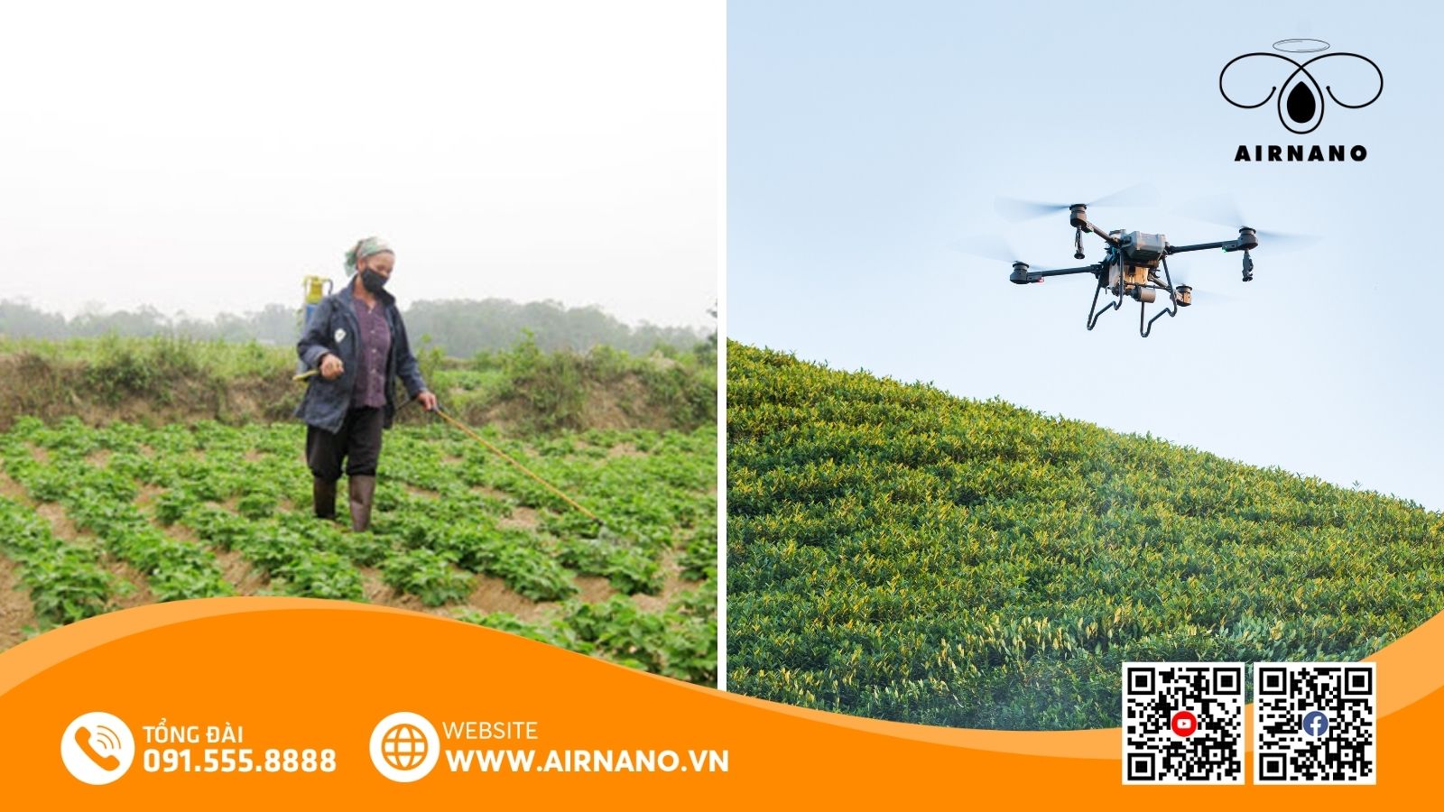 So sánh phương pháp phun truyền thống và thiết bị bay không người lái phun thuốc cho cây đậu phộng