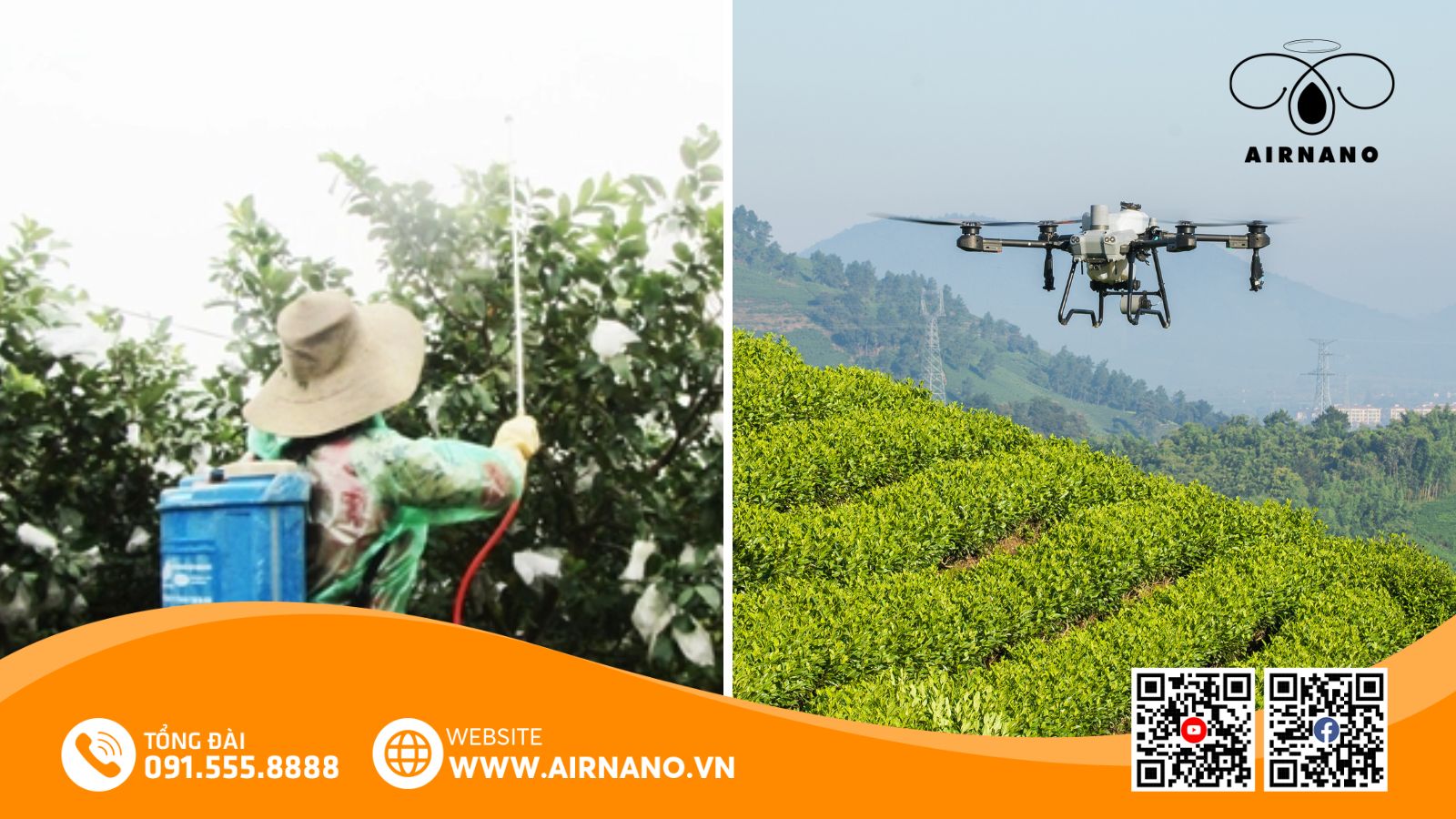 So sánh phương pháp phun truyền thống và thiết bị bay không người lái phun thuốc cho cây ổi