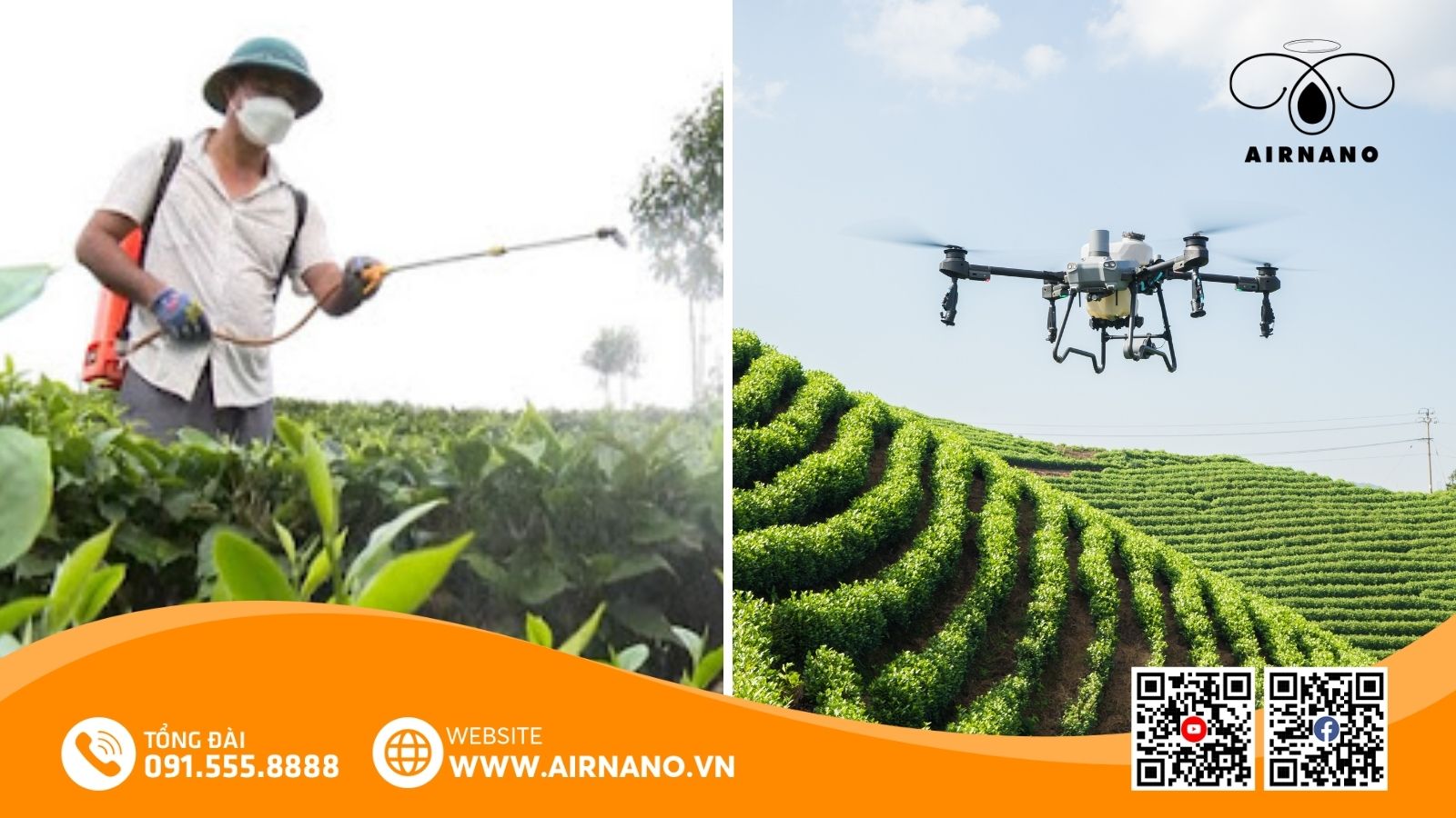 So sánh phương pháp phun truyền thống và thiết bị bay phun thuốc trừ sâu cho cây chè