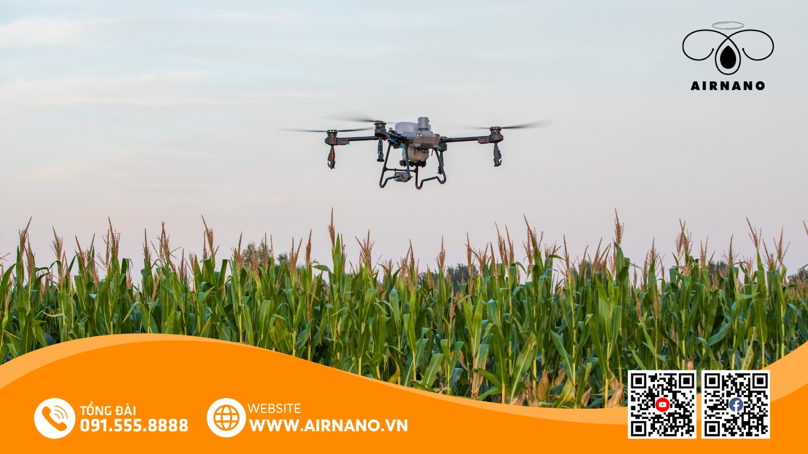 Ứng dụng máy bay phun thuốc cho cây mía