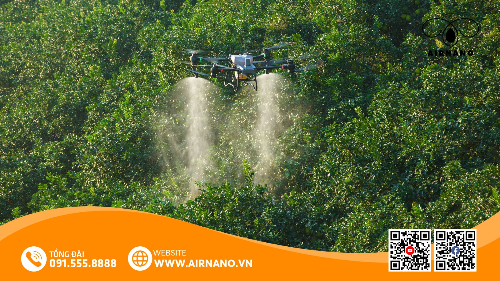 Ứng dụng máy bay phun thuốc cho cây quế