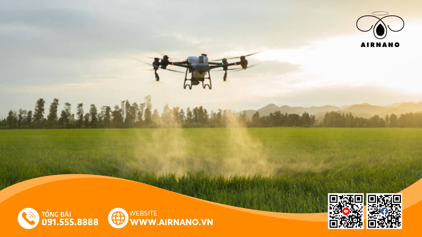 Chăm Sóc Và Phòng Trừ Sâu Bệnh Cho Giống Lúa HN6