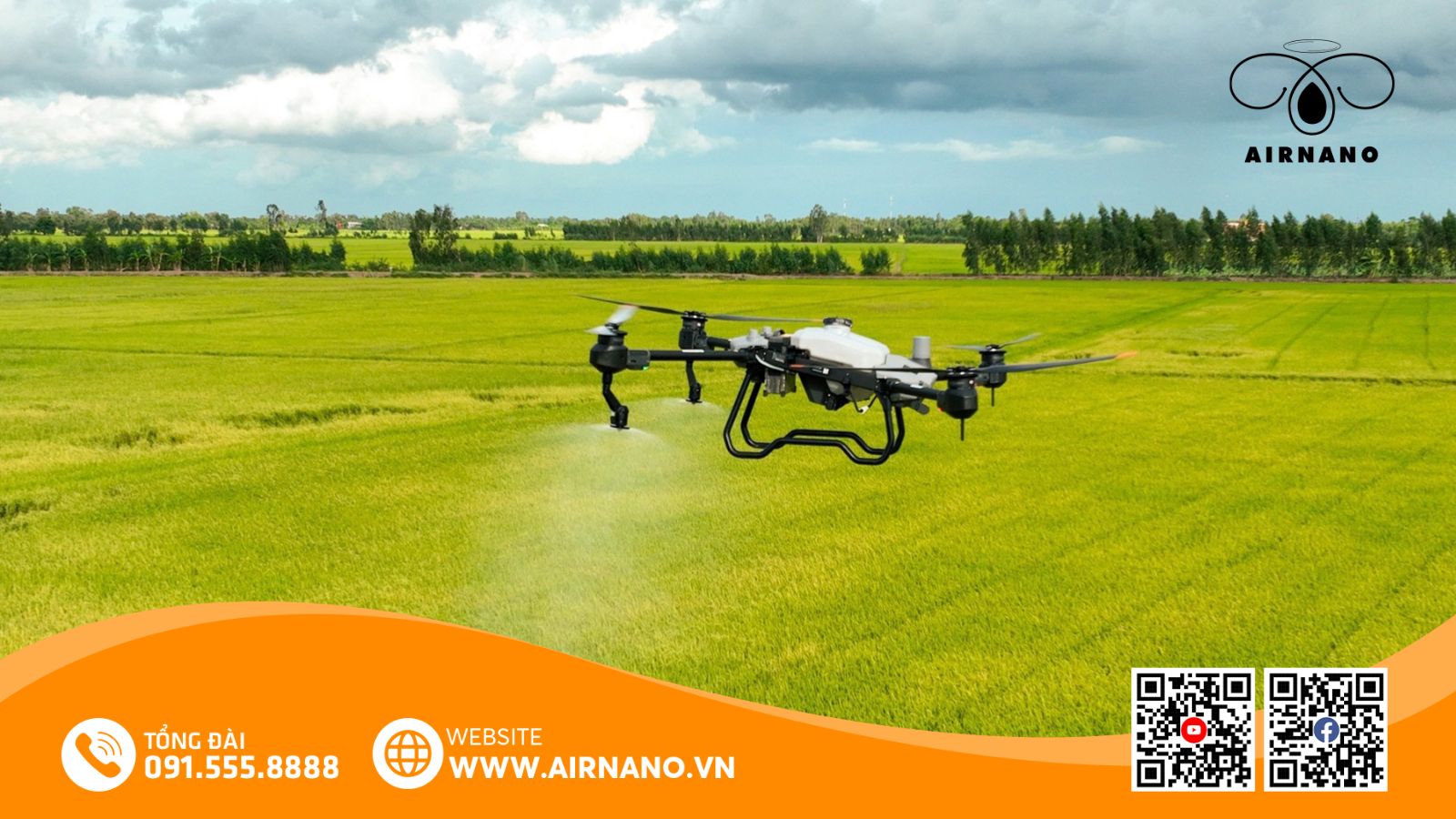 Chăm Sóc Và Phòng Trừ Sâu Bệnh Cho Giống Lúa HP1