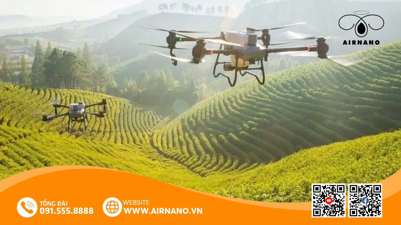 Chăm Sóc Và Phòng Trừ Sâu Bệnh Cho Giống Lúa Hà Phát