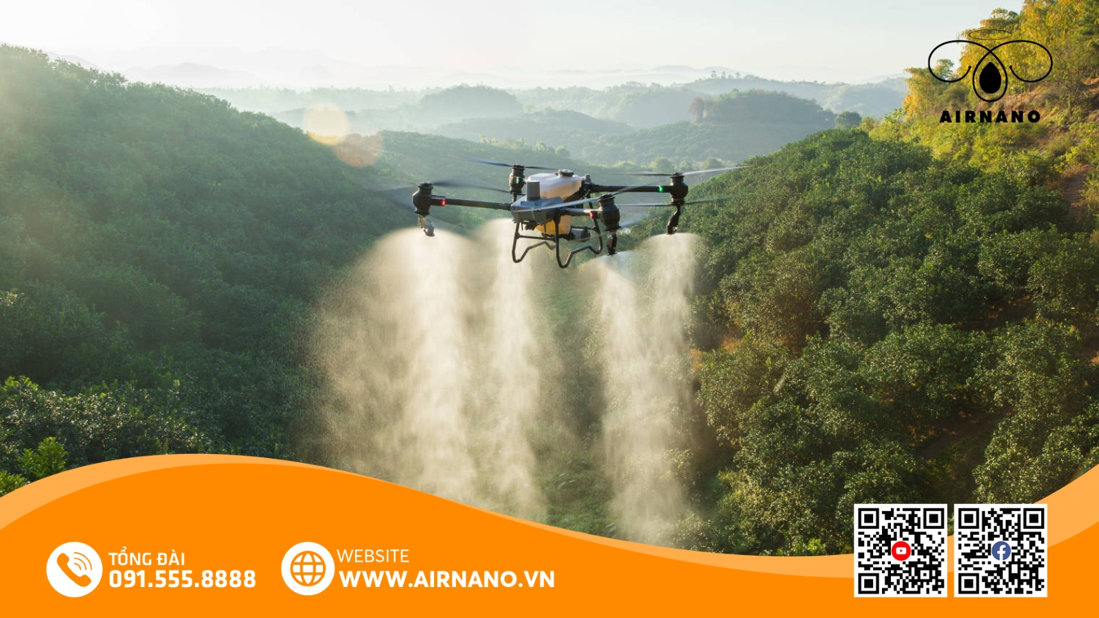 Chăm Sóc Và Phòng Trừ Sâu Bệnh Cho Giống Lúa Hòa Phát 3