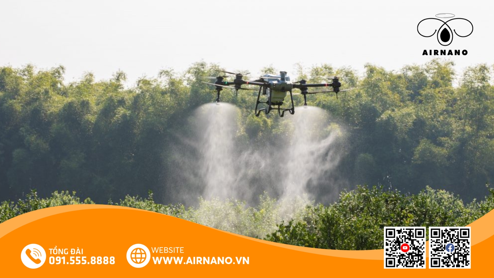 Chăm Sóc Và Phòng Trừ Sâu Bệnh Cho Giống Lúa Huyết Rồng