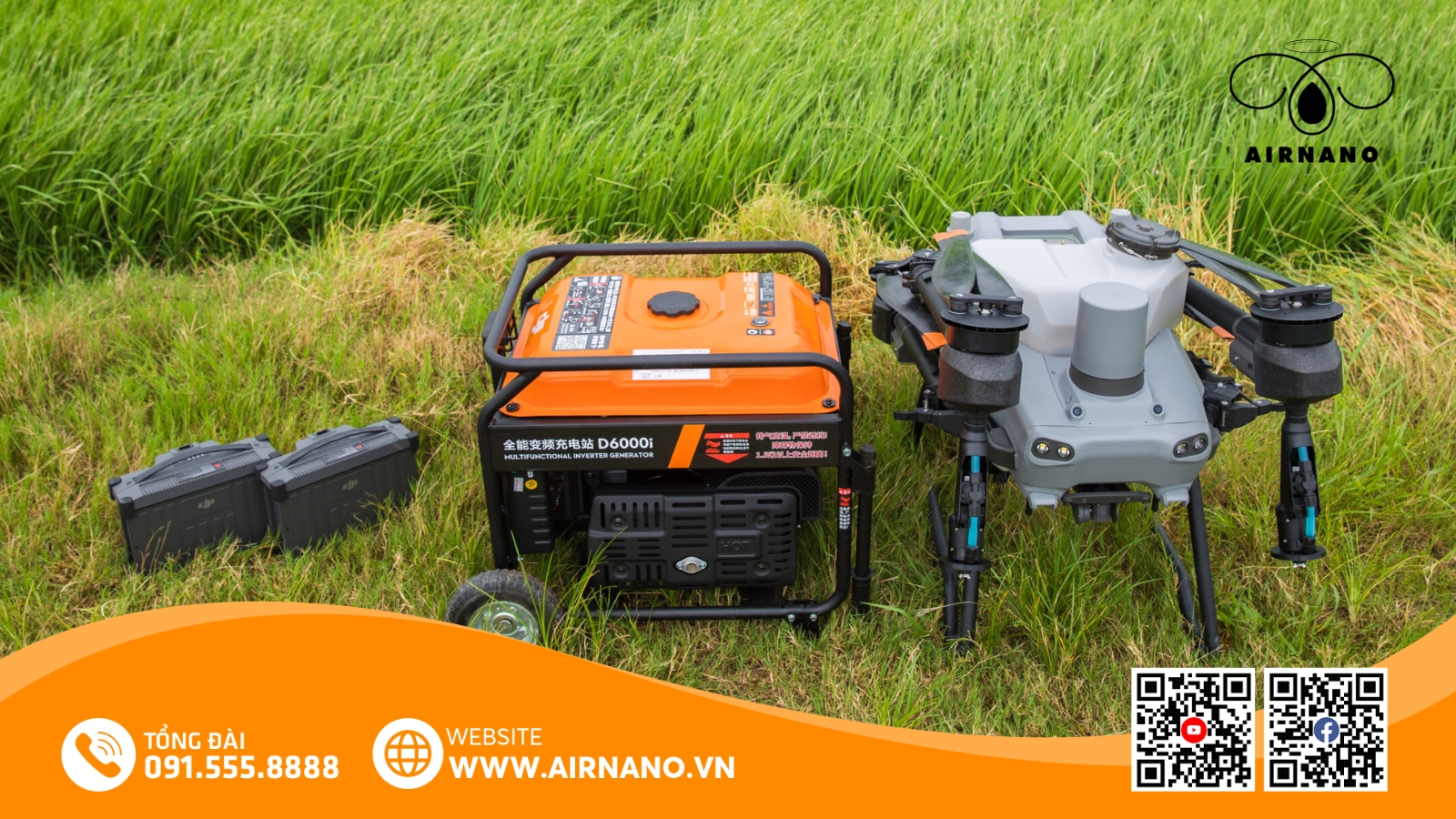 Chăm Sóc Và Phòng Trừ Sâu Bệnh Cho Giống Lúa Nàng Hoa 9