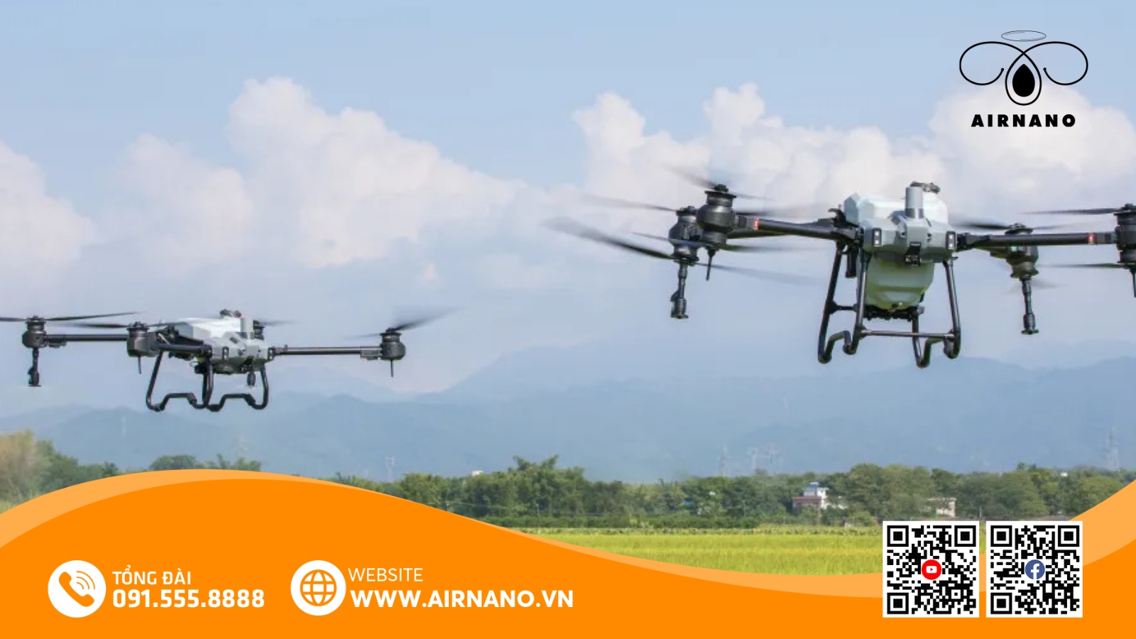 Chăm Sóc Và Phòng Trừ Sâu Bệnh Cho Giống Lúa ST24