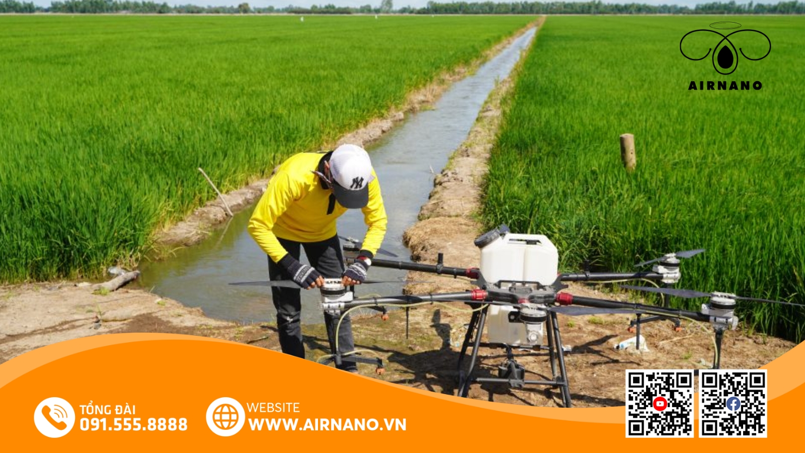 Chăm Sóc Và Phòng Trừ Sâu Bệnh Cho Giống Lúa Thái Xuyên 111