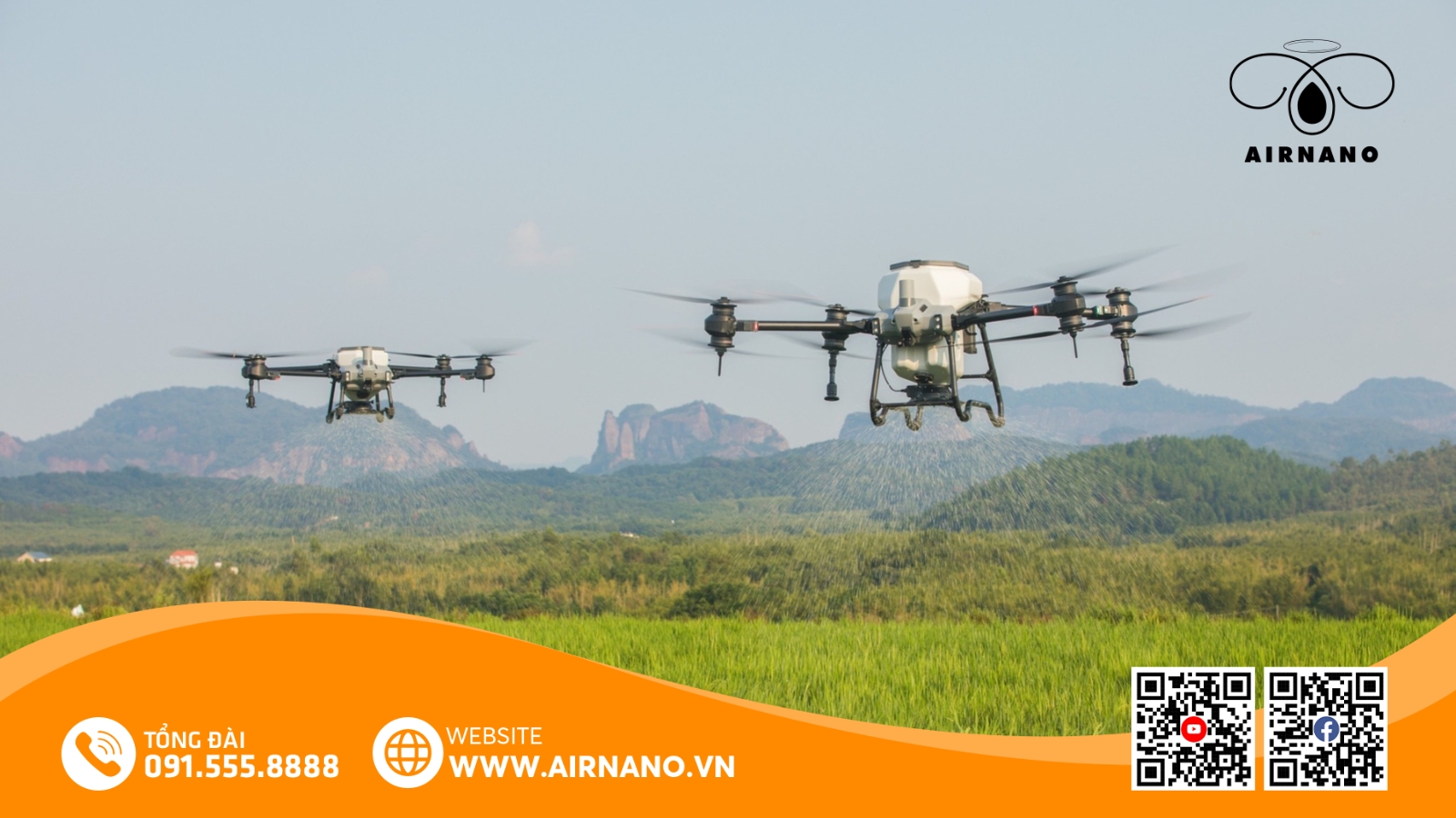 Chăm Sóc Và Phòng Trừ Sâu Bệnh Cho TBR225