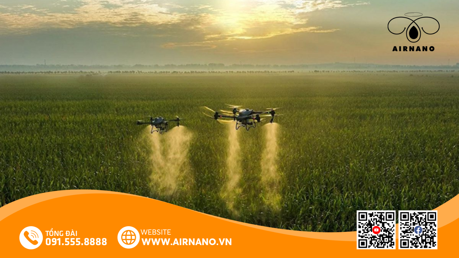 Chăm Sóc Và Phòng Trừ Sâu Bệnh Hại Trên Giống Lúa ADI 168