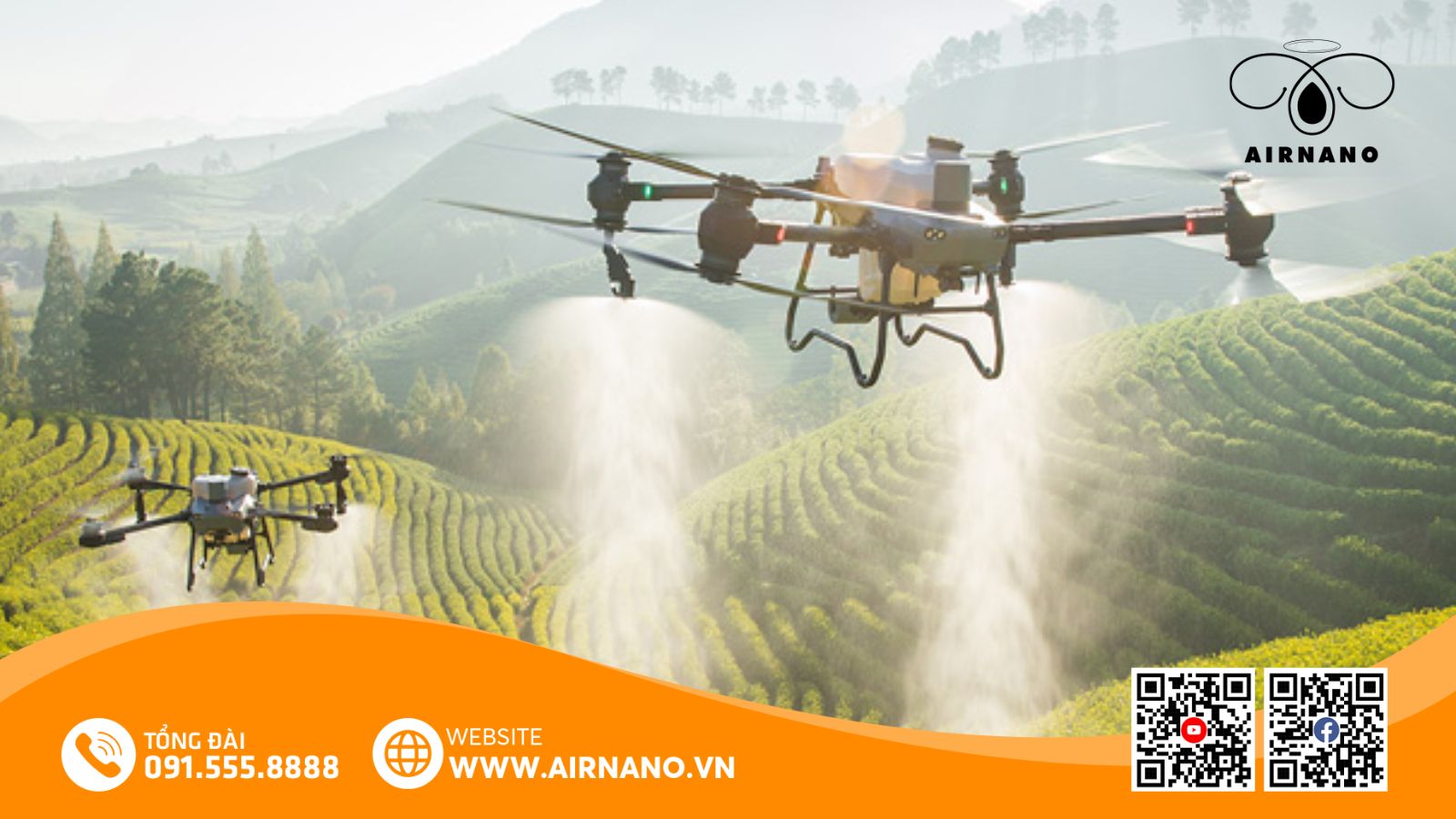 Chăm Sóc Và Phòng Trừ Sâu Bệnh Hại Trên Giống Lúa Nếp 97