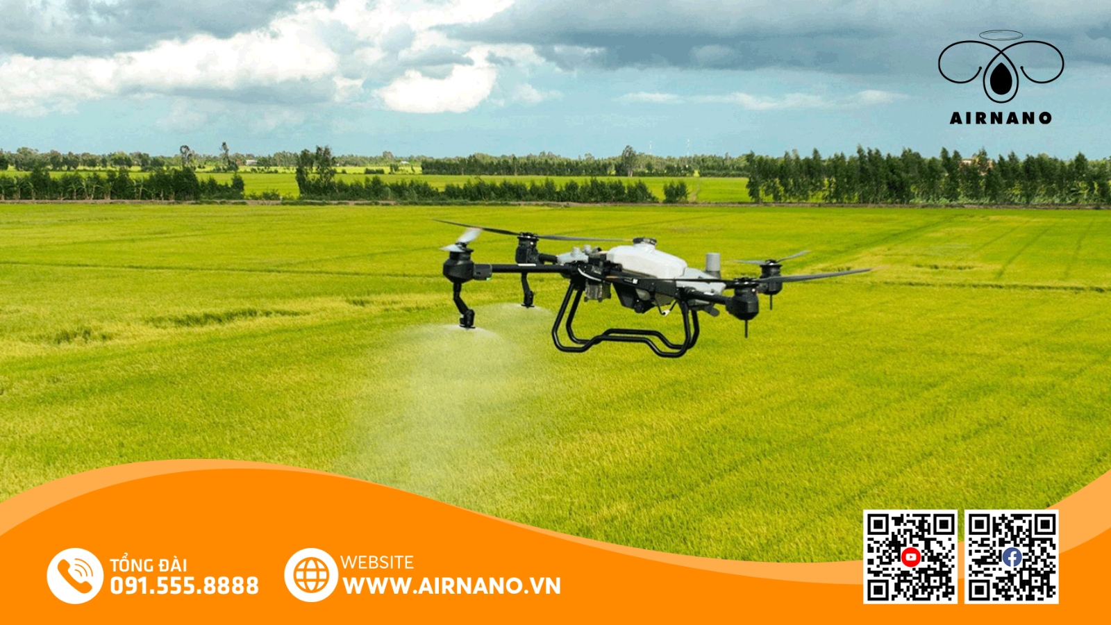 Chăm Sóc Và Phòng Trừ Sâu Bệnh Trên VNR88