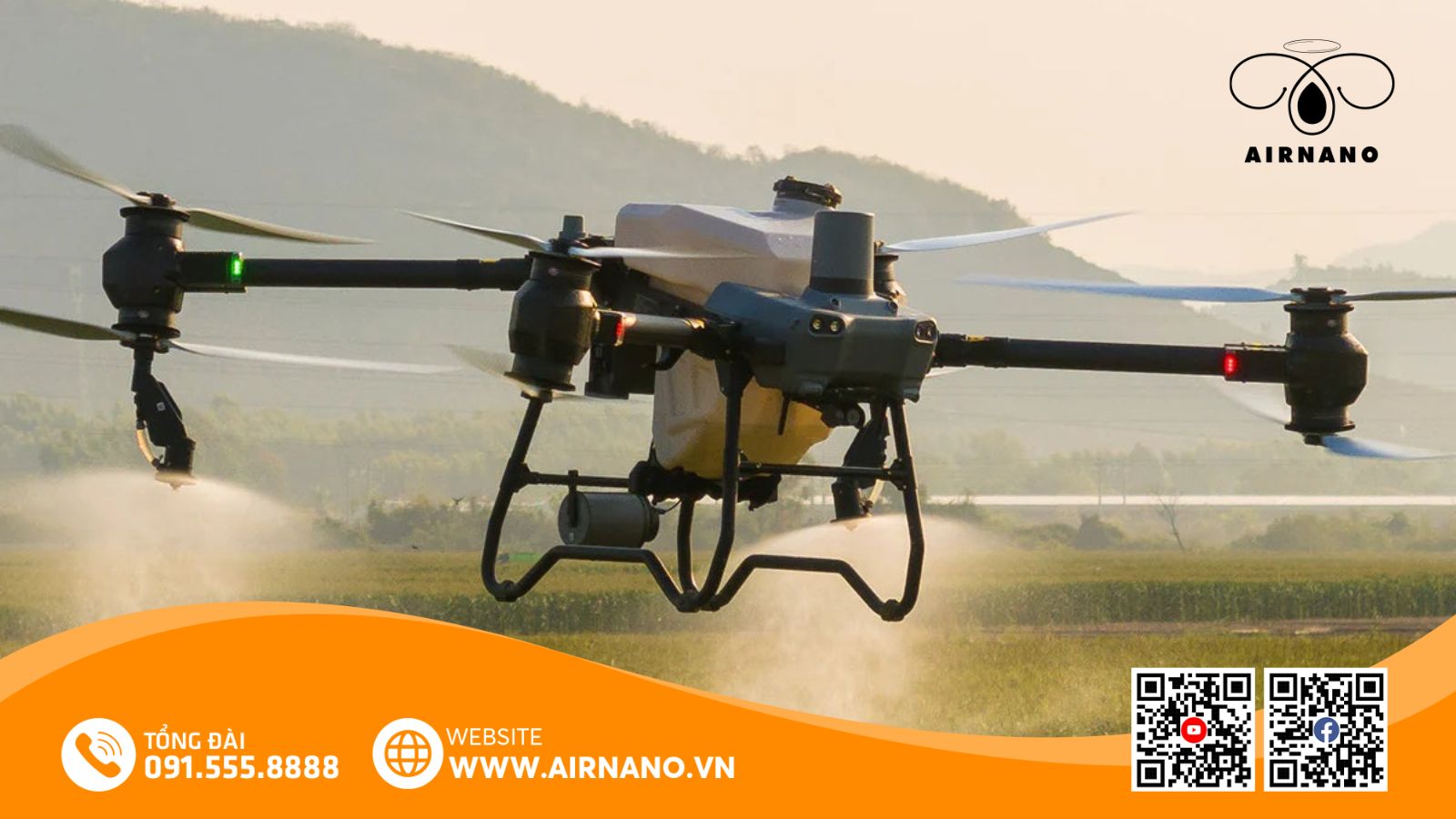 Chăm sóc và phòng trừ sâu bệnh cho Khang Dân 18