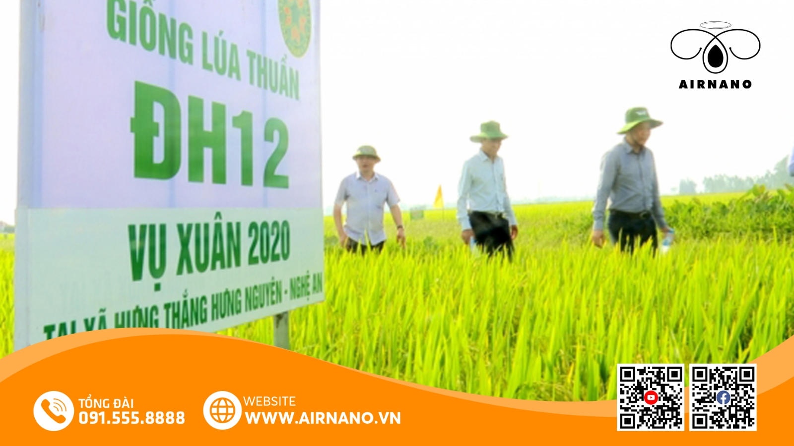 Đặc Điểm Của Giống Lúa DH12