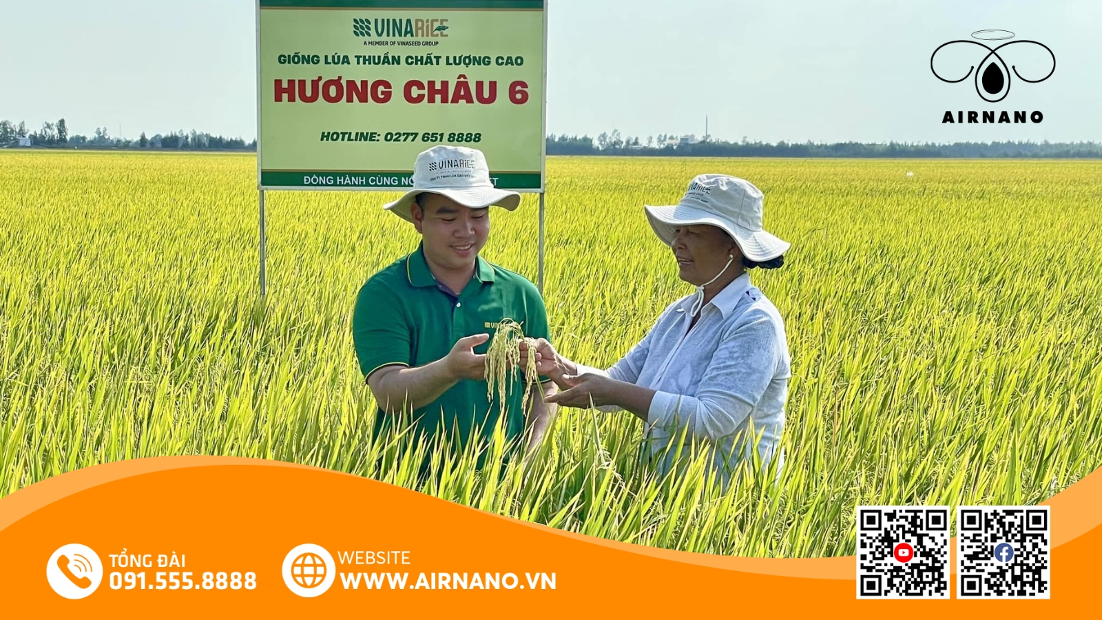 Đặc Điểm Giống Lúa Hương Châu 6