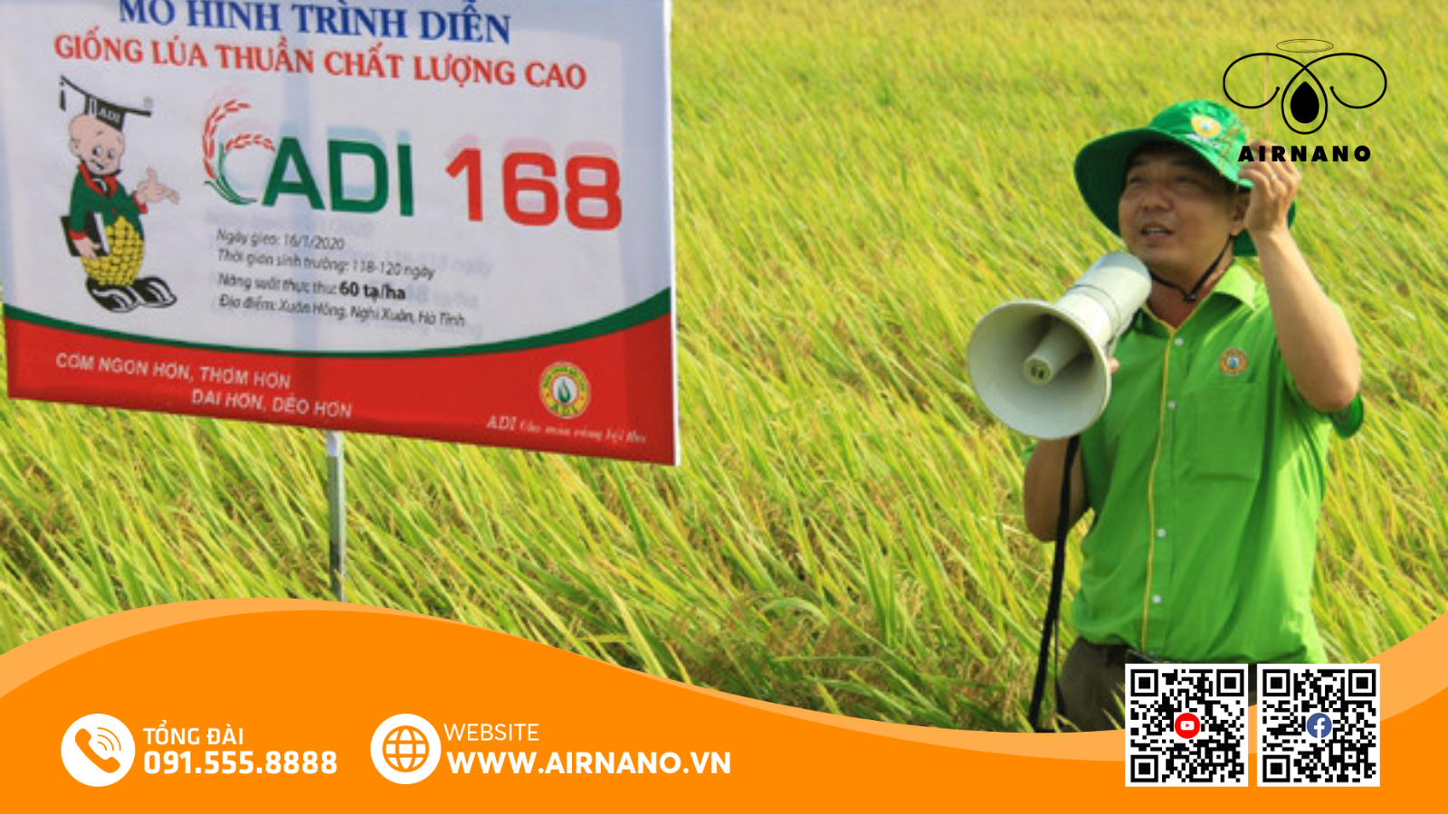 Giống Lúa ADI 168_ Đặc Tính Nổi Bật & Kỹ Thuật Canh Tác