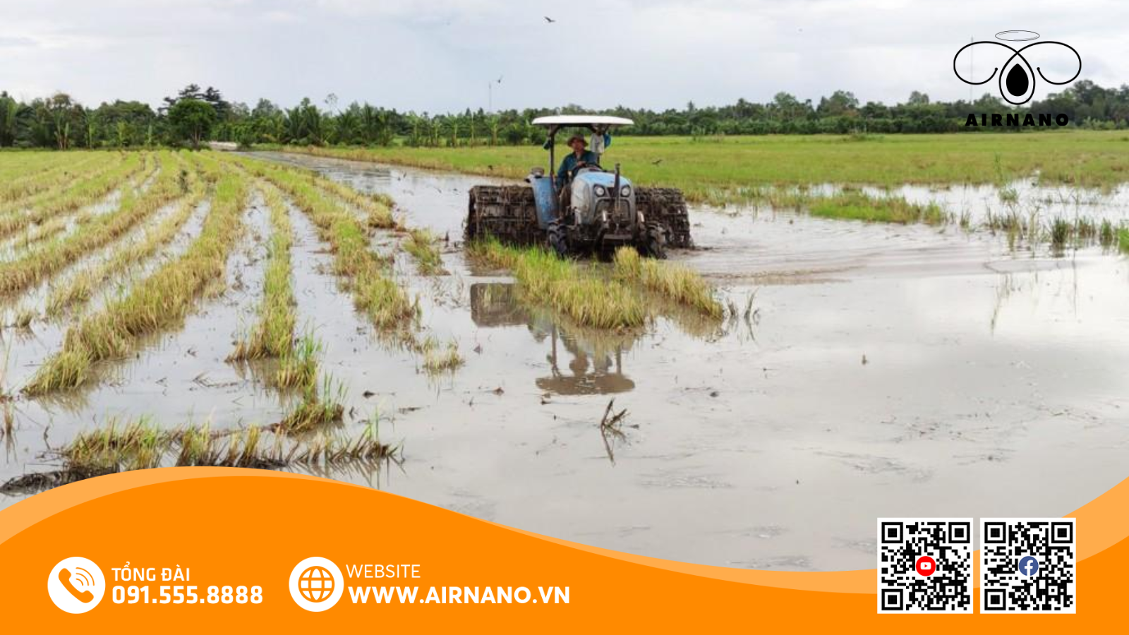 Kỹ Thuật Canh Tác Giống Lúa HP1