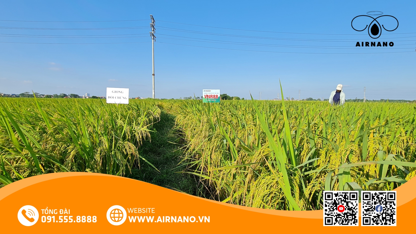 Lợi Ích Và Ưu Điểm Của VNR88 Mang Lại Cho Người Nông Dân